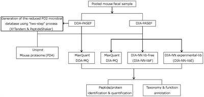 Increasing taxonomic and functional characterization of host-microbiome interactions by DIA-PASEF metaproteomics